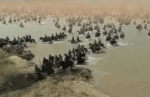 伊阙之战具体过程是怎样的？最终结果如何？_古代战争 菊江历史网