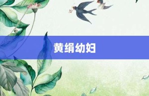 黄绢幼妇【黄绢幼妇的意思】- 成语大全