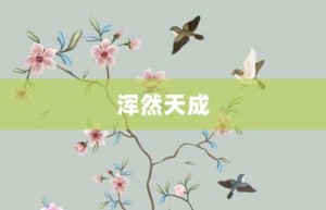 浑然天成【浑然天成的意思】- 成语大全