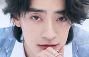 郑云龙【中国内地音乐剧、话剧及影视演员、歌手】 – 人物百科