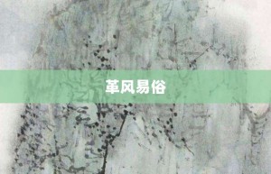 革风易俗【革风易俗的意思】- 成语大全