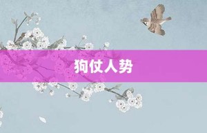 狗仗人势【狗仗人势的意思】- 成语大全