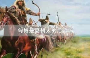 匈奴是夏朝人的后裔吗_稗官野史 菊江历史网