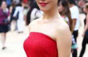 刘嘉【中国内地女演员】 – 人物百科