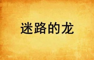 迷路的龙【创世中文网签约作者】 – 人物百科