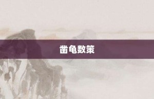 凿龟数策【凿龟数策的意思】- 成语大全