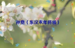 孙贲【东汉末年将领】 – 人物百科