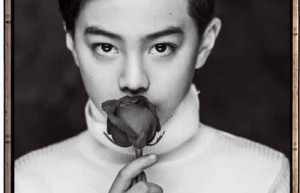 徐王子【中国内地男演员】 – 人物百科