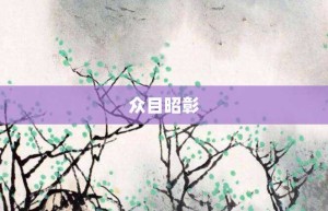 众目昭彰【众目昭彰的意思】- 成语大全