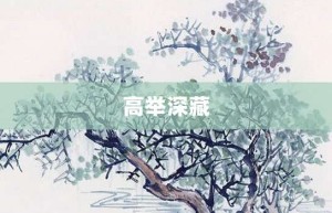 高举深藏【高举深藏的意思】- 成语大全