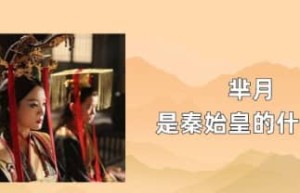 芈月是秦始皇的什么人_春秋战国历史 菊江历史网