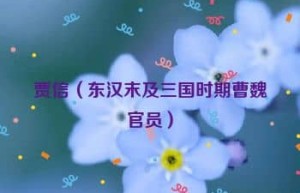 贾信【东汉末及三国时期曹魏官员】 – 人物百科