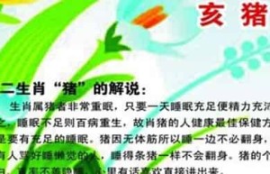 为何十二生肖中猪排最末位？_上古历史 菊江历史网