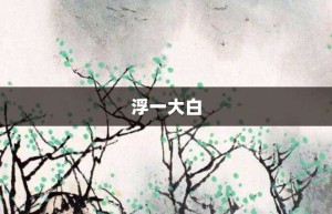 浮一大白【浮一大白的意思】- 成语大全