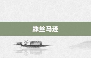 蛛丝马迹【蛛丝马迹的意思】- 成语大全