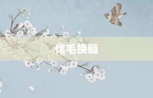 伐毛换髓【伐毛换髓的意思】- 成语大全