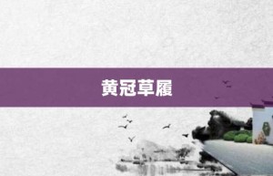 黄冠草履【黄冠草履的意思】- 成语大全