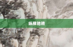 纵横驰骋【纵横驰骋的意思】- 成语大全