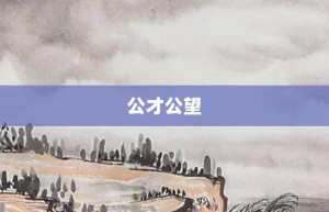 公才公望【公才公望的意思】- 成语大全