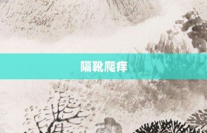 隔靴爬痒【隔靴爬痒的意思】- 成语大全