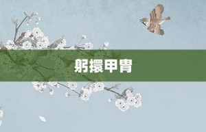 躬擐甲胄【躬擐甲胄的意思】- 成语大全