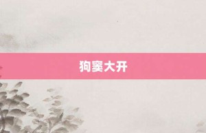 狗窦大开【狗窦大开的意思】- 成语大全
