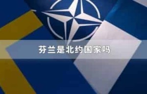 芬兰是北约国家吗_世界近代史 菊江历史网