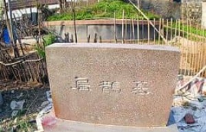 扁鹊墓在哪里_春秋战国历史 菊江历史网