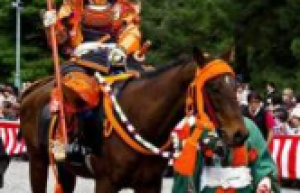 武家简介，武家政权 菊江历史网