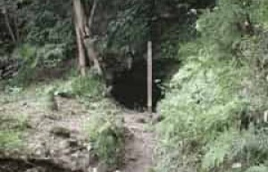 东胜寺合战时间，东胜寺合战简介 菊江历史网