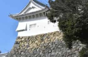 稻叶山城之战简介，稻叶山城之战任务 菊江历史网