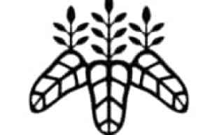 太阁检地名词解释，太阁检地日本人口 菊江历史网