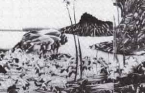 牡丹社事件始末，牡丹社事件发生于哪一年 菊江历史网