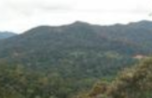 大汉山国家公园简介，大汉山国家公园动物_世界古代史 菊江历史网