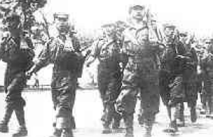 马来亚人民抗日军英文翻译，马来亚人民抗日军军歌_世界古代史 菊江历史网