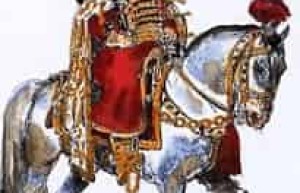 波雅尔 菊江历史网