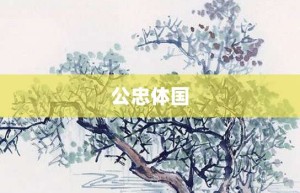 公忠体国【公忠体国的意思】- 成语大全