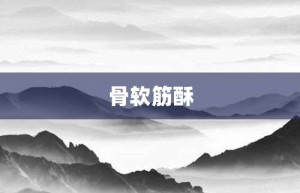 骨软筋酥【骨软筋酥的意思】- 成语大全