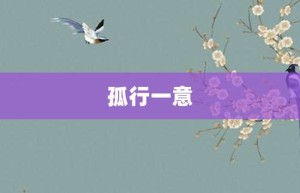 孤行一意【孤行一意的意思】- 成语大全