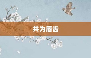 共为唇齿【共为唇齿的意思】- 成语大全