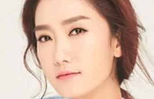 杨魏玲花【中国内地女歌手，歌唱组合凤凰传奇的女主唱】 – 人物百科