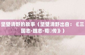 坚壁清野的故事（坚壁清野出自：《三国志·魏志·荀彧传》）_成语故事 菊江历史网