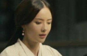 杨仪为什么没能继承诸葛丞相的未知呢？_三国历史 菊江历史网