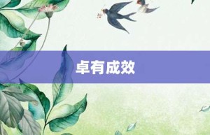 卓有成效【卓有成效的意思】- 成语大全