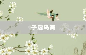 子虚乌有【子虚乌有的意思】- 成语大全