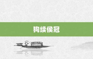 狗续侯冠【狗续侯冠的意思】- 成语大全