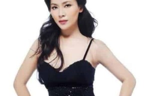 沈丹萍【中国内地女演员】 – 人物百科