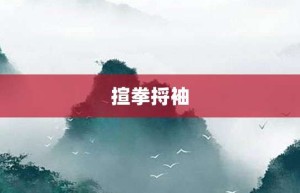 揎拳捋袖【揎拳捋袖的意思】- 成语大全