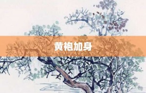 黄袍加身【黄袍加身的意思】- 成语大全