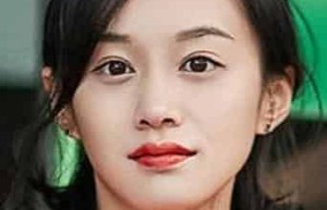 陆妍淇【中国内地女演员】 – 人物百科